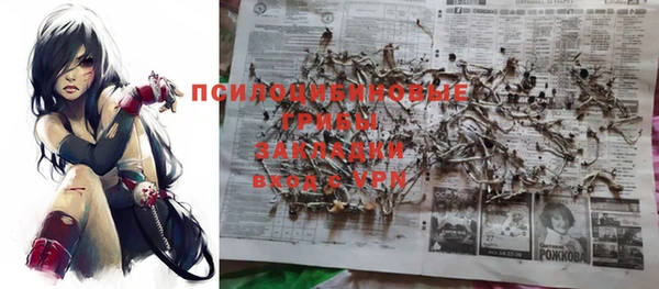 a pvp Майский