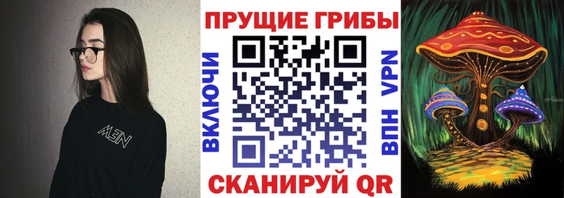Купить где  Нахабино  Псилоцибиновые грибы Magic Shrooms 